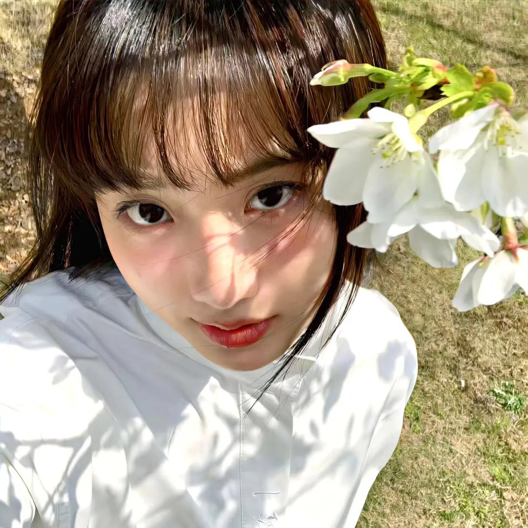 九里香